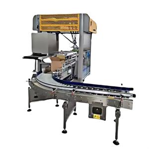 XLY-646 Automatic Bag in Box Case Packer Machine