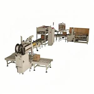 XLY-650 Automatic Bottle Can Pet Bottle Linear Carton Box Case Packing 