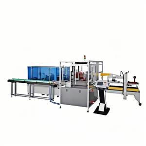 XLY-803 Automatic Case Packer Box in Big Carton Packaging Machine