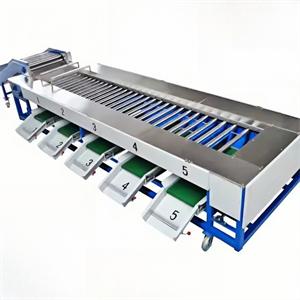 XLY-Z-1500 Tomato Apple Mango Sorting Grading Machine 